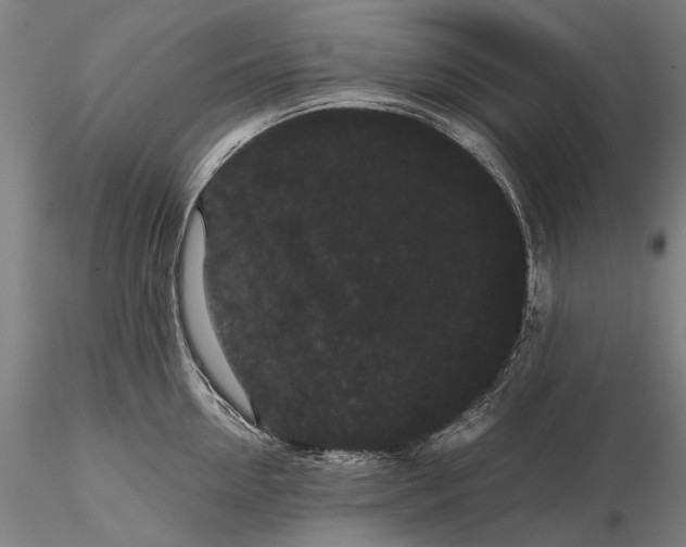 X0000116120954200912071343