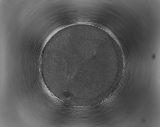 X0000116120955200912071343