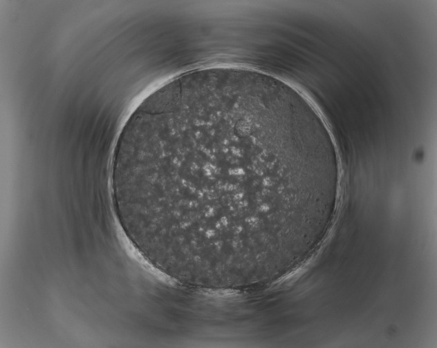 X0000116120957200912071343