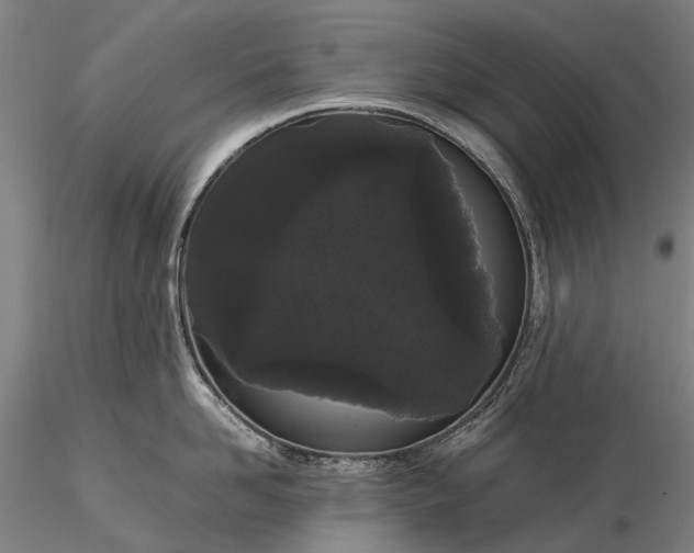 X0000116120958200912071343