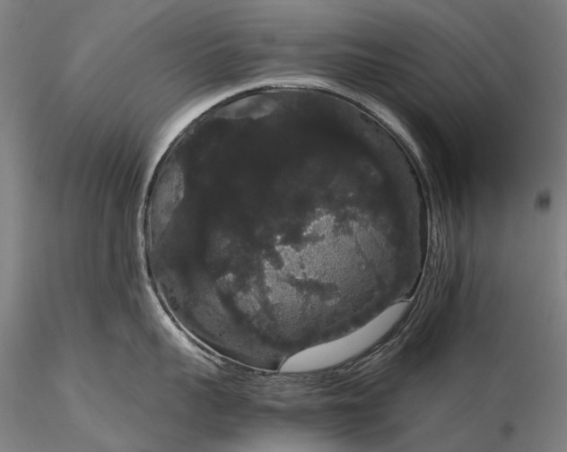 X0000116120959200912071343