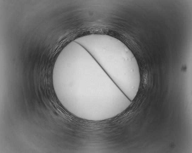 X0000116120964200912071342