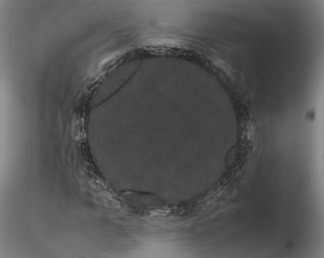 X0000116120965200912071342