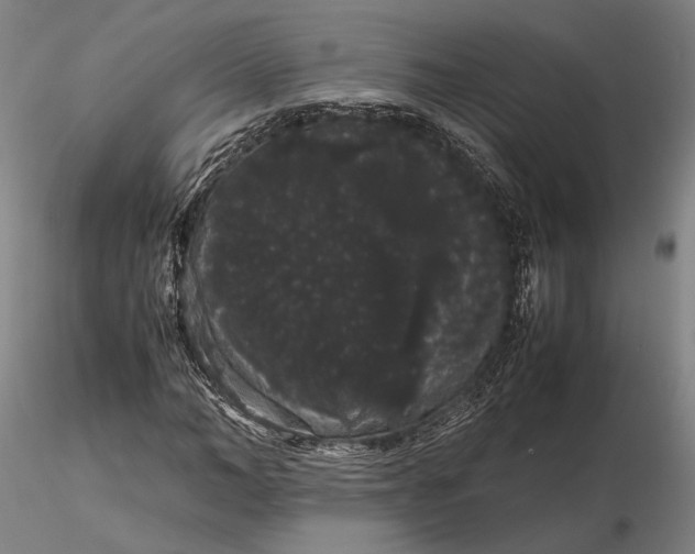 X0000116120966200912071342