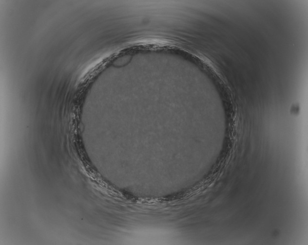 X0000116120967200912071342