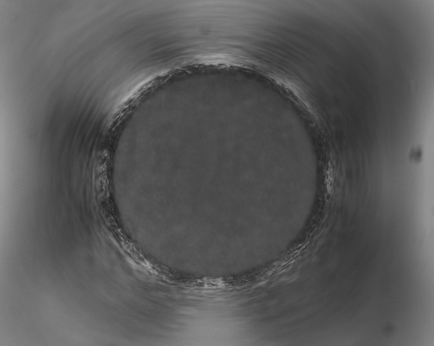 X0000116120968200912071342