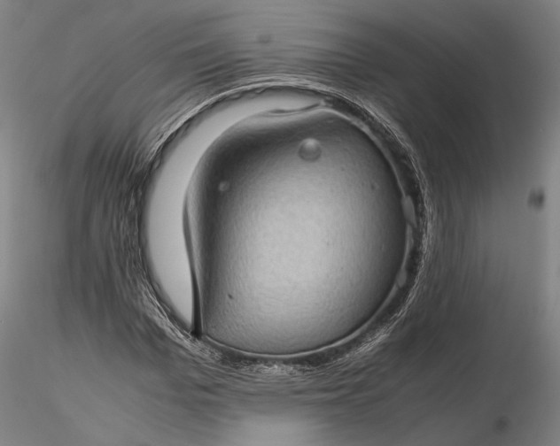 X0000116120969200912071342