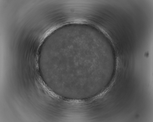 X0000116120970200912071342