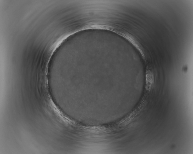 X0000116120972200912071342