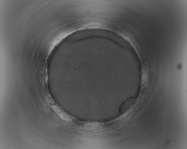 X0000116120973200912071342