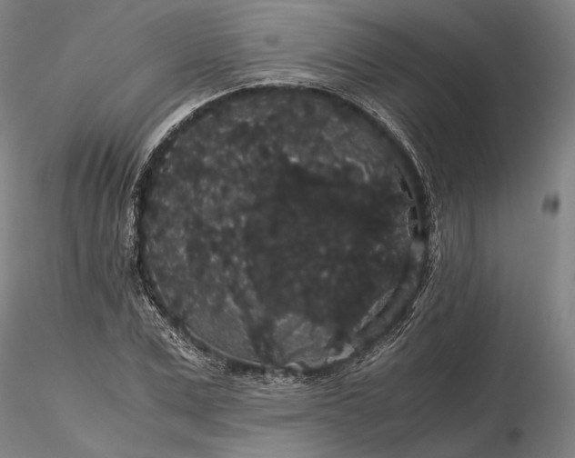 X0000116120975200912071342