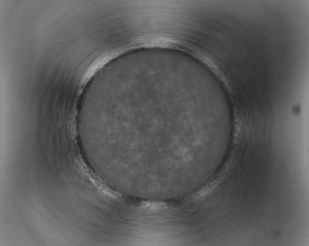 X0000116120978200912071342