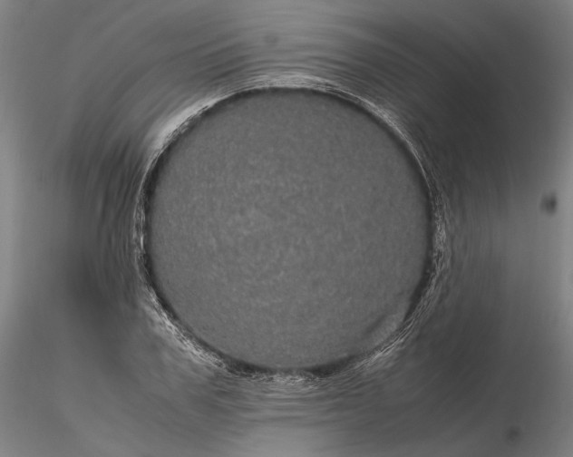 X0000116120979200912071342