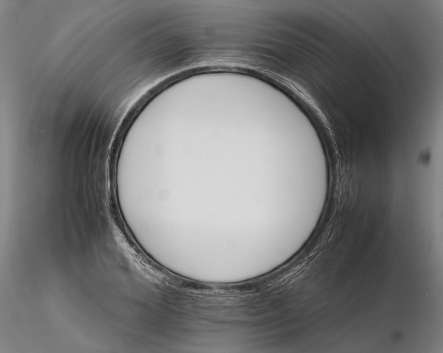 X0000116120980200912071342