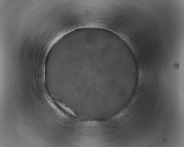 X0000116120982200912071342