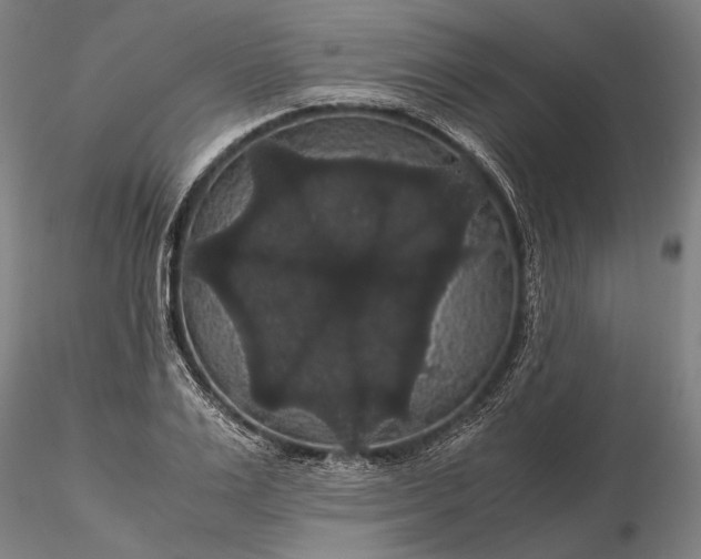 X0000116120983200912071342