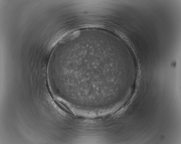 X0000116120985200912071342