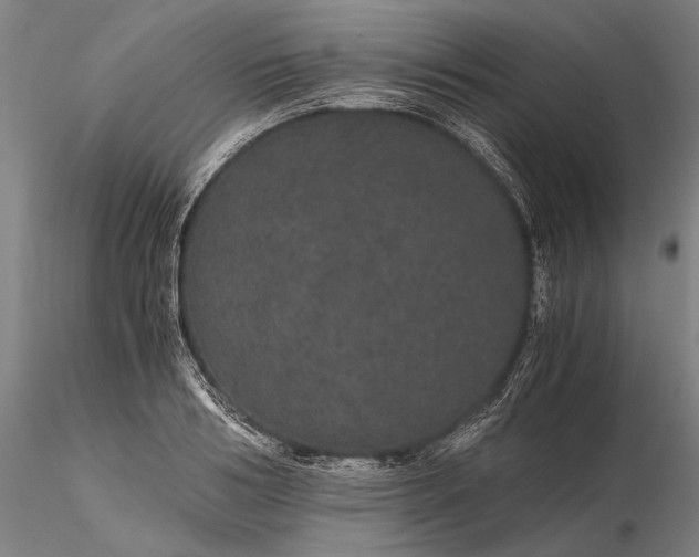 X0000116120986200912071342