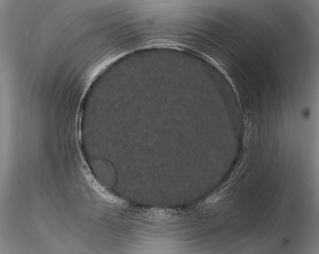 X0000116120987200912071342