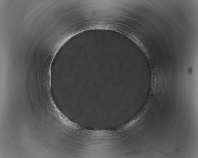 X0000116120988200912071342