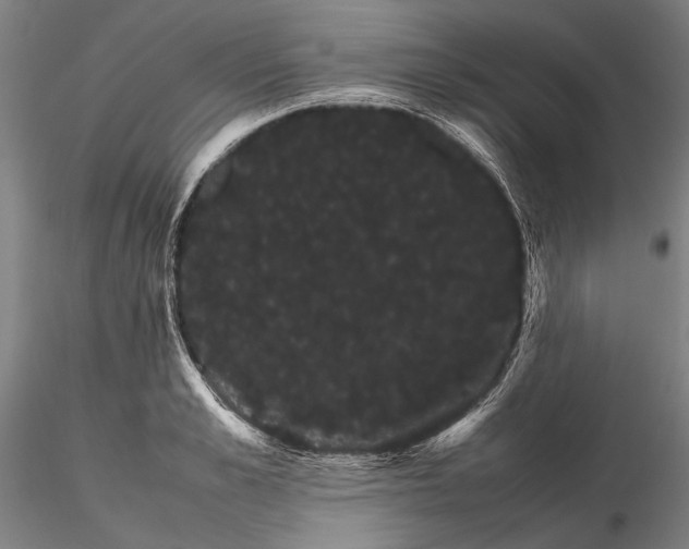 X0000116120989200912071342