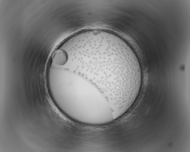 X0000116120990200912071342