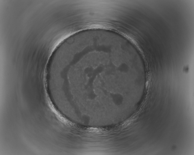 X0000116120991200912071342