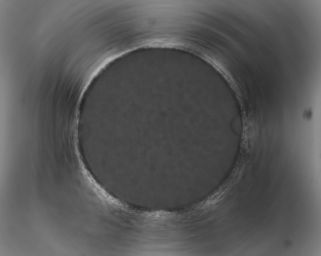 X0000116120992200912071342