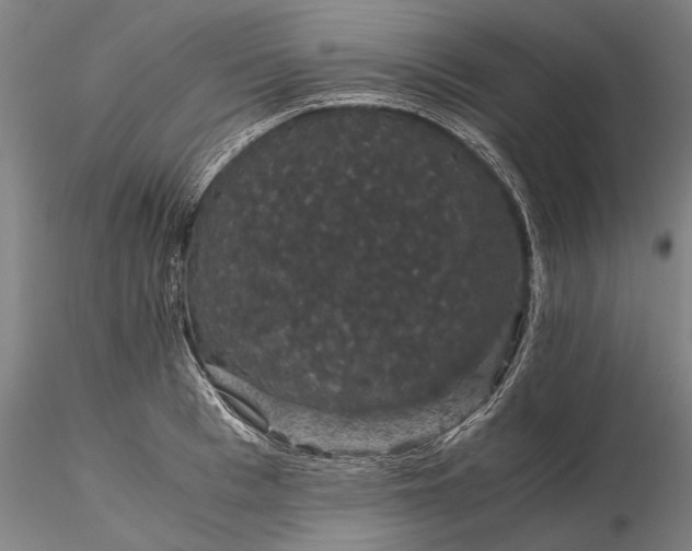 X0000116120993200912071342