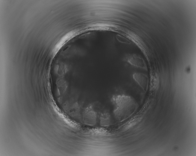 X0000116120994200912071342