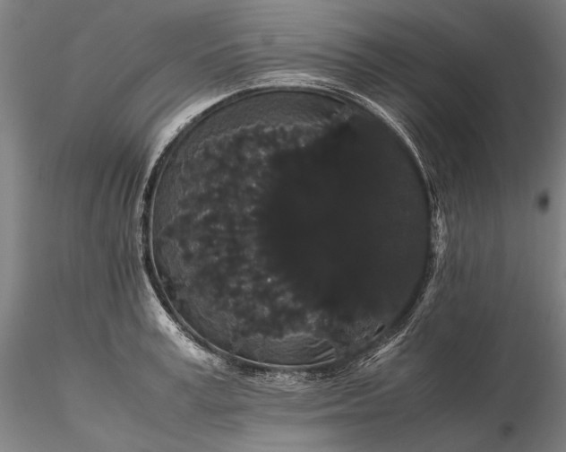 X0000116120995200912071342