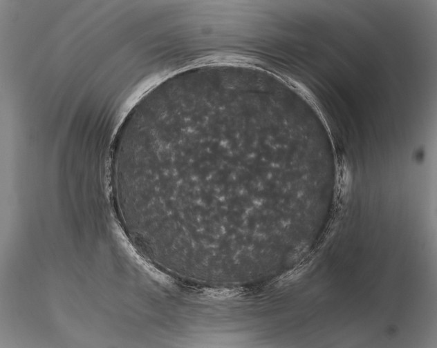 X0000116120997200912071342