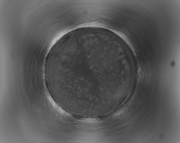 X0000116120998200912071342