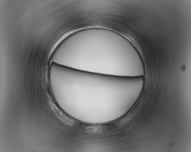 X0000116121000200912071342