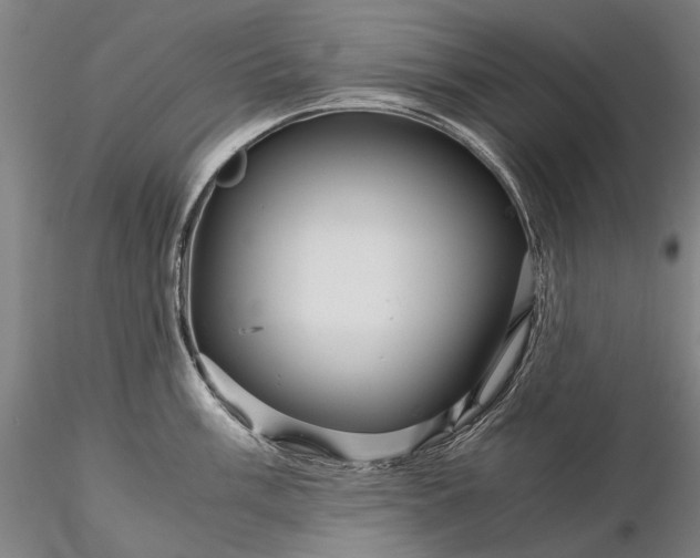 X0000116121003200912071342