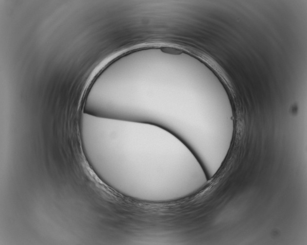 X0000116121004200912071342