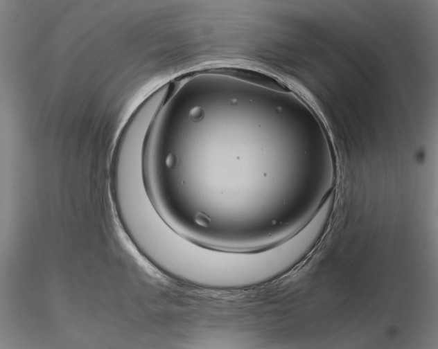 X0000116121005200912071342