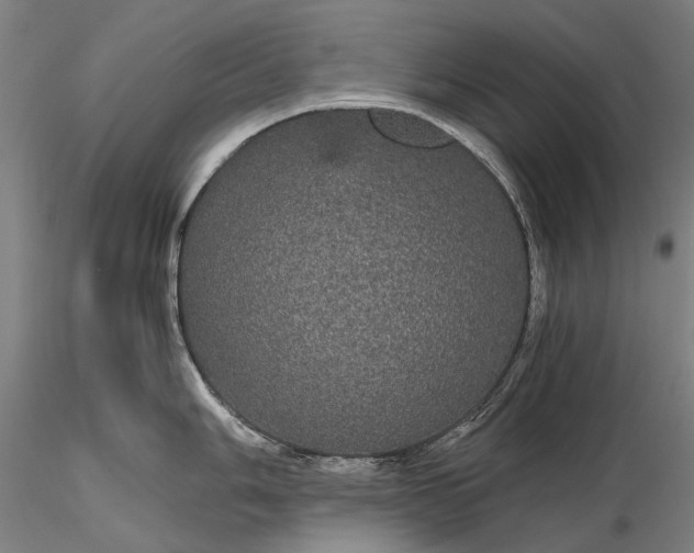 X0000116121006200912071342