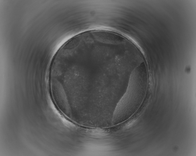 X0000116121007200912071342