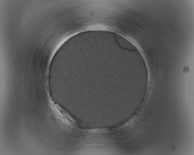 X0000116121008200912071342