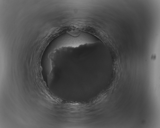 X0000116121009200912071341