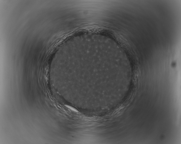 X0000116121010200912071341