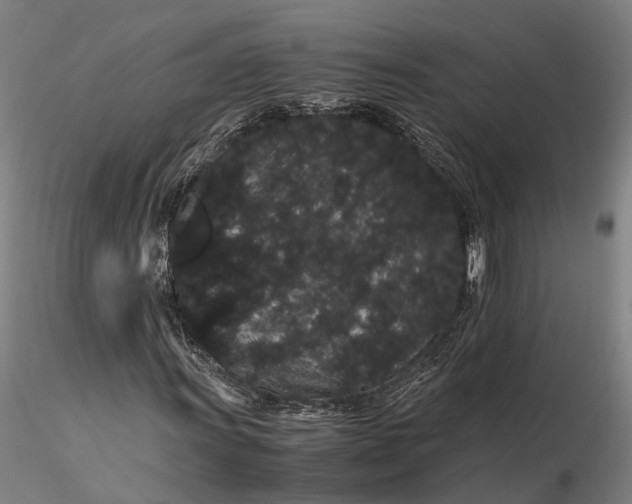 X0000116121011200912071341