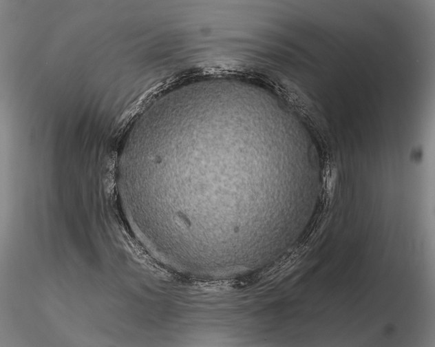 X0000116121012200912071341