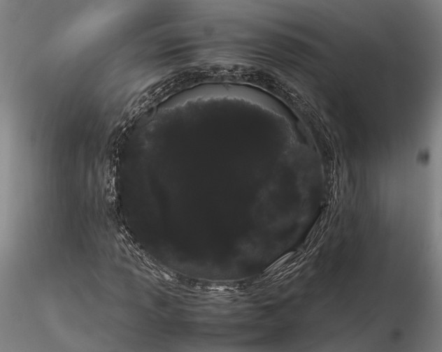 X0000116121013200912071341