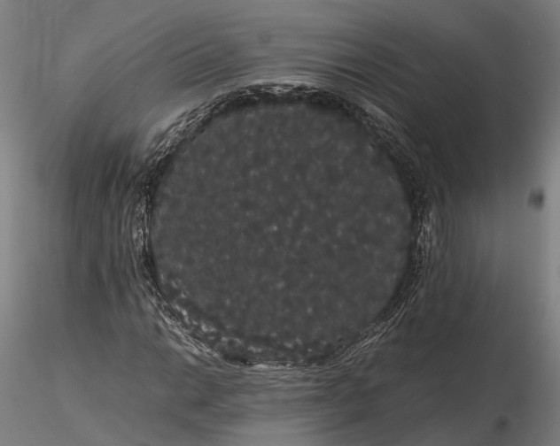 X0000116121014200912071341