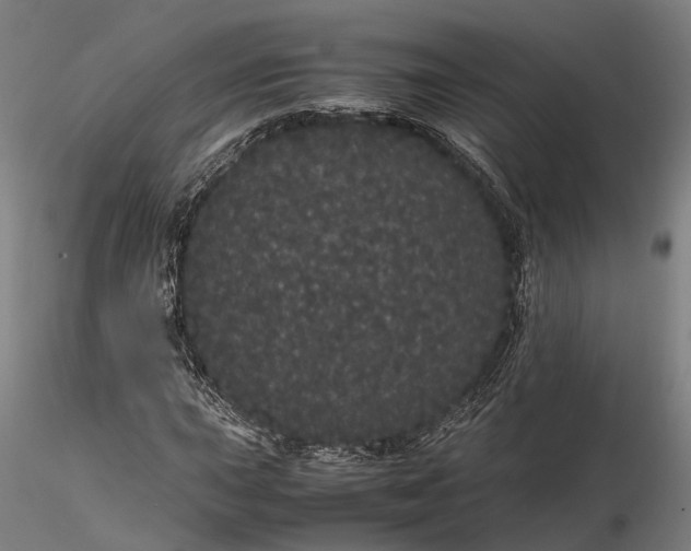 X0000116121015200912071341