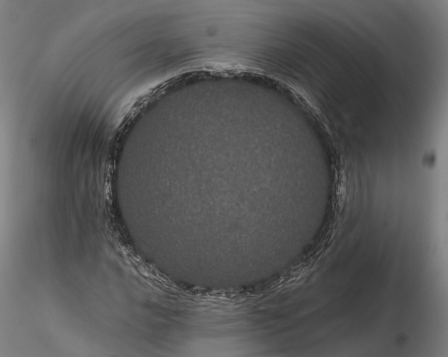 X0000116121016200912071341