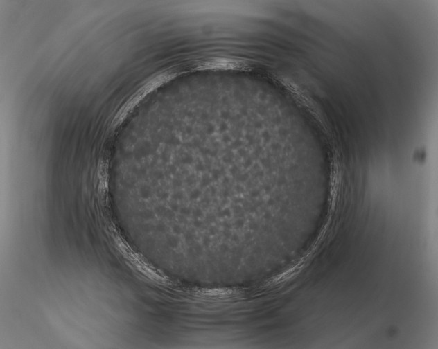 X0000116121017200912071341