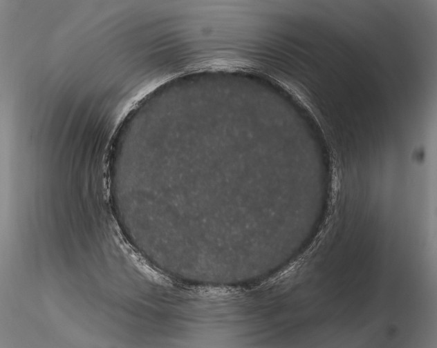 X0000116121018200912071341